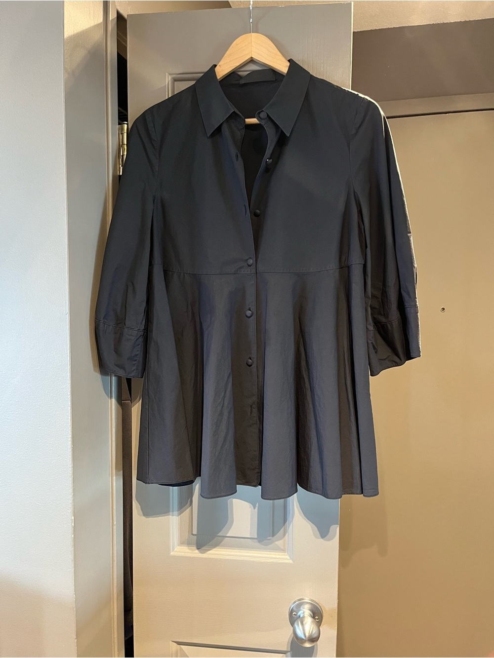 CO Black Button-Front Pleated Flared Shirt